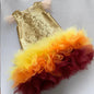 Baby Girl Princess Feather Sequin Dress